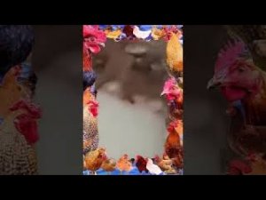 ВЫДАВЛИВАНИЕ ПРЫЩЕЙ ЧИСТКА КОЖИ🍓