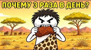 Почему Люди Едят 3 Раза В День