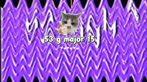 53