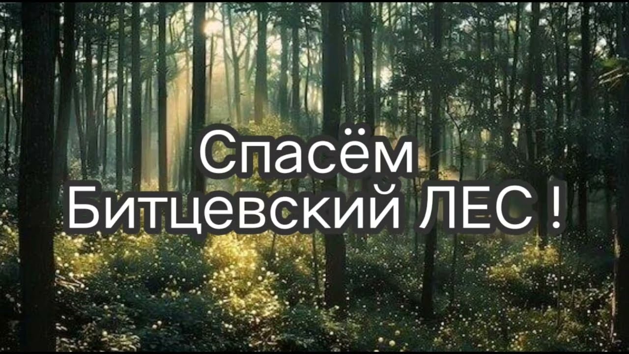 Если бы лес мог говорить. Видео в защиту Битцевского леса, против строительства лыжероллерной трассы смотреть онлайн