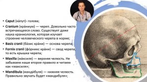 ЛАТЫНЬ ДЛЯ МЕДИКОВ: РАЗБОР ОСНОВНЫХ ТЕРМИНОВ
