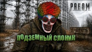 ПОДЗЕМНЫЙ СЛОНИК | Anomaly GAMMA