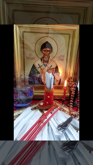 Святителю Спиридону молимся🙏#финансы#работа#семья#татьянаясная# смотреть онлайн