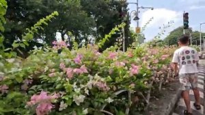 Замуж в Индию СКАЗАЛА МУЖУ ЧТО ОБРАТНЫЙ БИЛЕТ ЕЩЕ НЕ ПОКУПАЛА