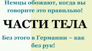 Немецкие слова: Голова, руки, ноги и другие части тела | Урок немецкого A1