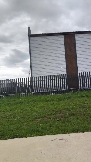 футбол