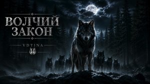 Волчий закон /Новая Авторская песня 2026 VDTINAmusik