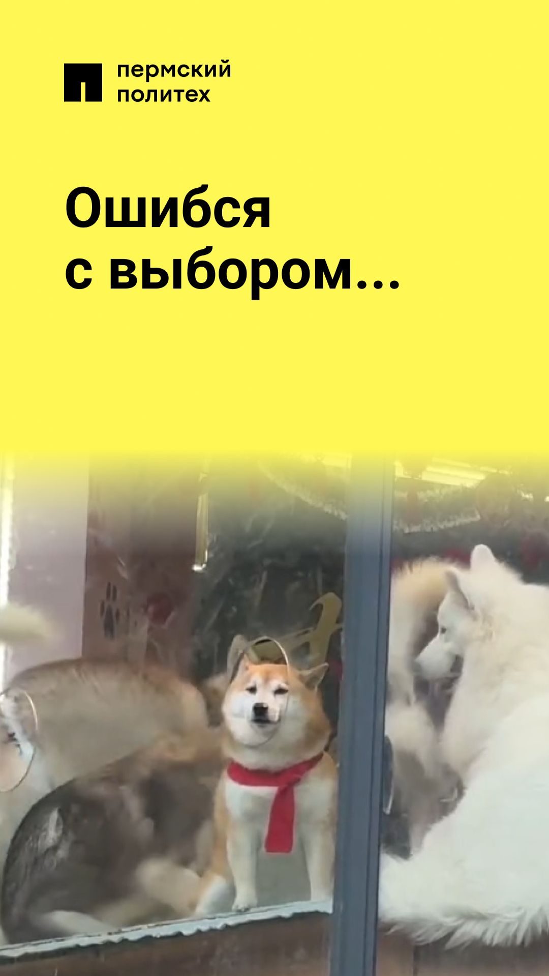 Ошибся с выбором...