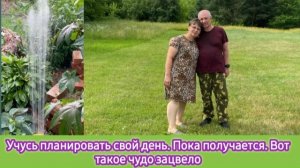 Учусь планировать свой день. Пока получается. Вот такое чудо зацвело