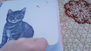 Ура 100 подписчиков подарки на 100 подписчиков. 🥳😃😉🐾