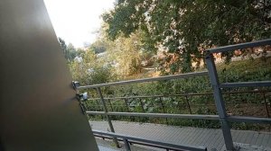 Ольга Валерьевна и Ледя Гага