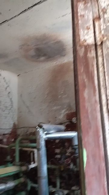 №2283	Двор П. Осипенко 48. 6 июля 2026 г., 16:02:12 VID_20260706_160102914