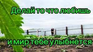 09-07-2026 НАШИ ДЕТИ СЛОМАЛИ СИСТЕМУ.