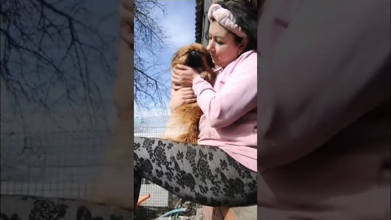 Настроение петь 🎤 смотреть онлайн