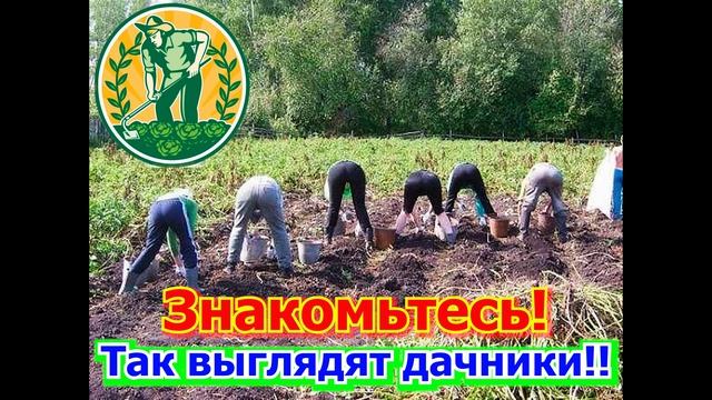 23.07.2026 День дачника