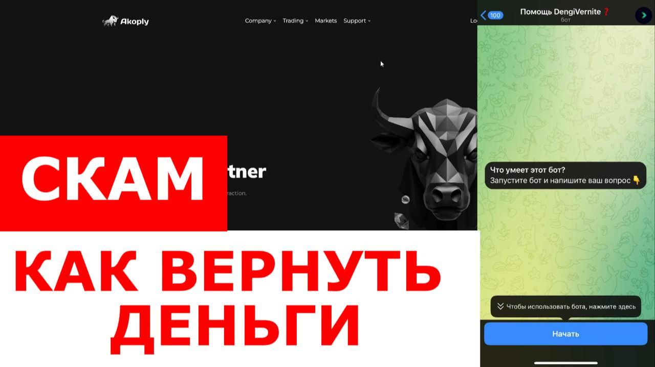 Аkoply (akoply.com, live.akoply.com) обзор, отзывы. Обман? смотреть онлайн