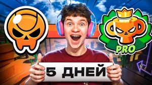 МОЙ НОВЫЙ ПРОЕКТ: С НУЛЯ ДО ПРО РАНГА ЗА 5 ДНЕЙ 🤯