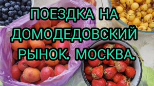 НЕМНОГО СНЯЛА РЫНОК. ПОКУПКИ ЕДЫ С РЫНКА ДОМОДЕДОВСКОГО, МОСКВА.