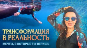 Китовая акула стала для меня напоминанием: невозможное существует только до первой встречи