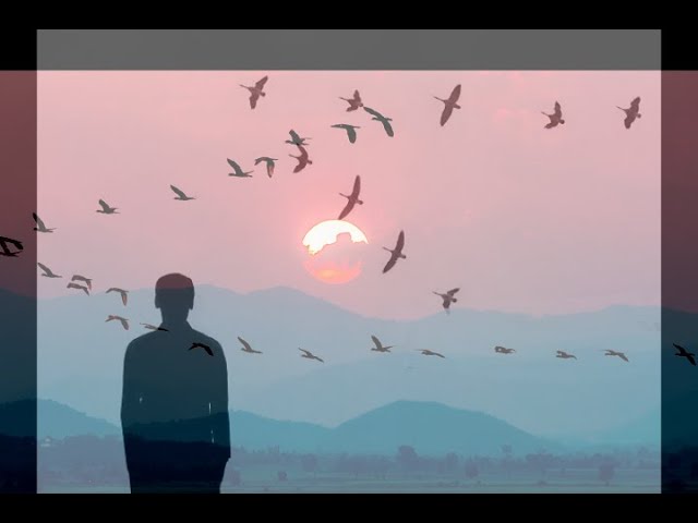 "Птицы улетают в даль"-песня, выражающая сезонную ностальгию, смешанную с вечным оптимизмом смотреть онлайн