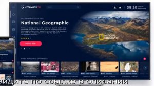 как смотреть бесплатно тв каналы