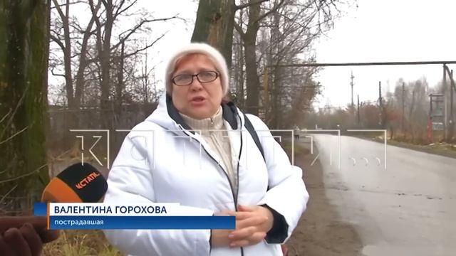 6 человек стали жертвами сторожевого пса, который сорвался с цепи смотреть онлайн