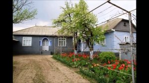 ВИА Контемпоранул Примэвара