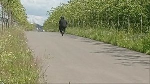Тест мотосамоката в затяжной подъём более 30 градусов с двигателем HONDA GX-50.