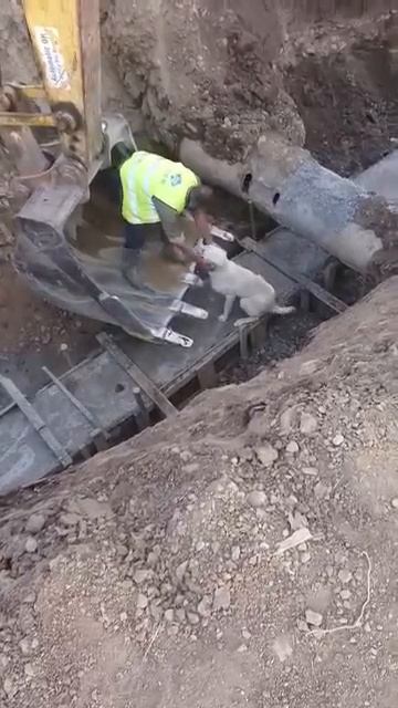 БЫВАЕТ смотреть онлайн