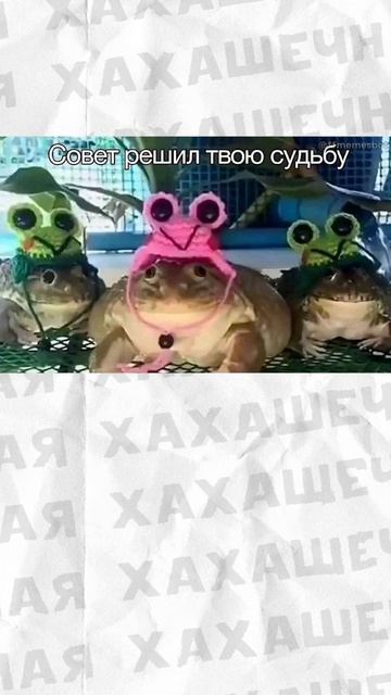 Поздравляю с Днём фантазии! смотреть онлайн