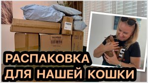 Готовимся встречать нашу кошку😻Распаковка покупок для неё. Всё понравилось. Отвечаем на ваши вопросы