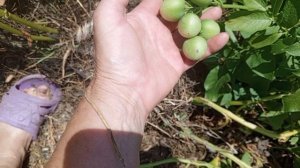 Продукты купила...В банк зашла!