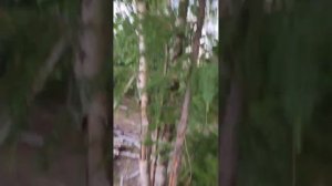 1000206828.mp4