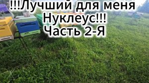 Какой нуклеус лучше??? часть 2 #пчелы #топ #рек