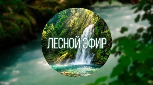 Река