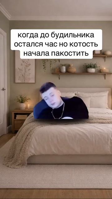 Котость
