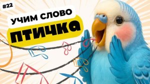 Научите Попугая Говорить «ПТИЧКА» | Уроки речи для Волнистых, Жако и Амазонов