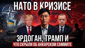 Война на Украине только что обнажила главную слабость НАТО Саммит в Анкаре