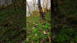 Источник в горах Краснодарского края, древнее святилище.