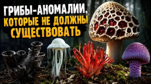 ЭТО НЕ ГРИБЫ… ЭТО МОНСТРЫ!