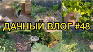 🏡 ДАЧНЫЙ ВЛОГ #48: НОВЫЕ ПОСАДКИ / РАБОТЫ НА УЧАСТКЕ / ПРОДОЛЖАЕМ СТРОИТЬ МАНГАЛЬНУЮ ЗОНУ