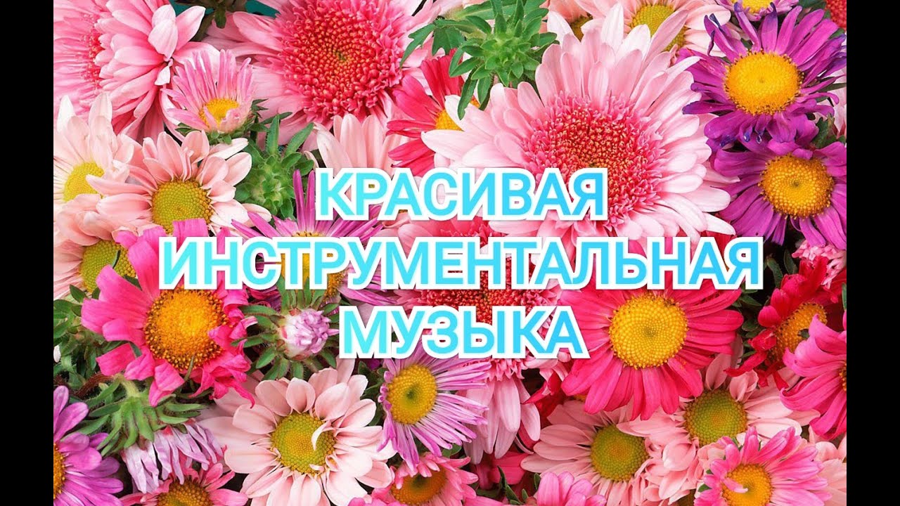Современная инструментальная музыка без слов. 2021. смотреть онлайн