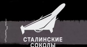 Обзор на «Модуль защиты шеи динамический»