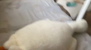 Времена года в глазах школьника !😙 не для ботанов 🫡