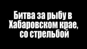 Битва со стрельбой за рыбу в Хабаровском крае