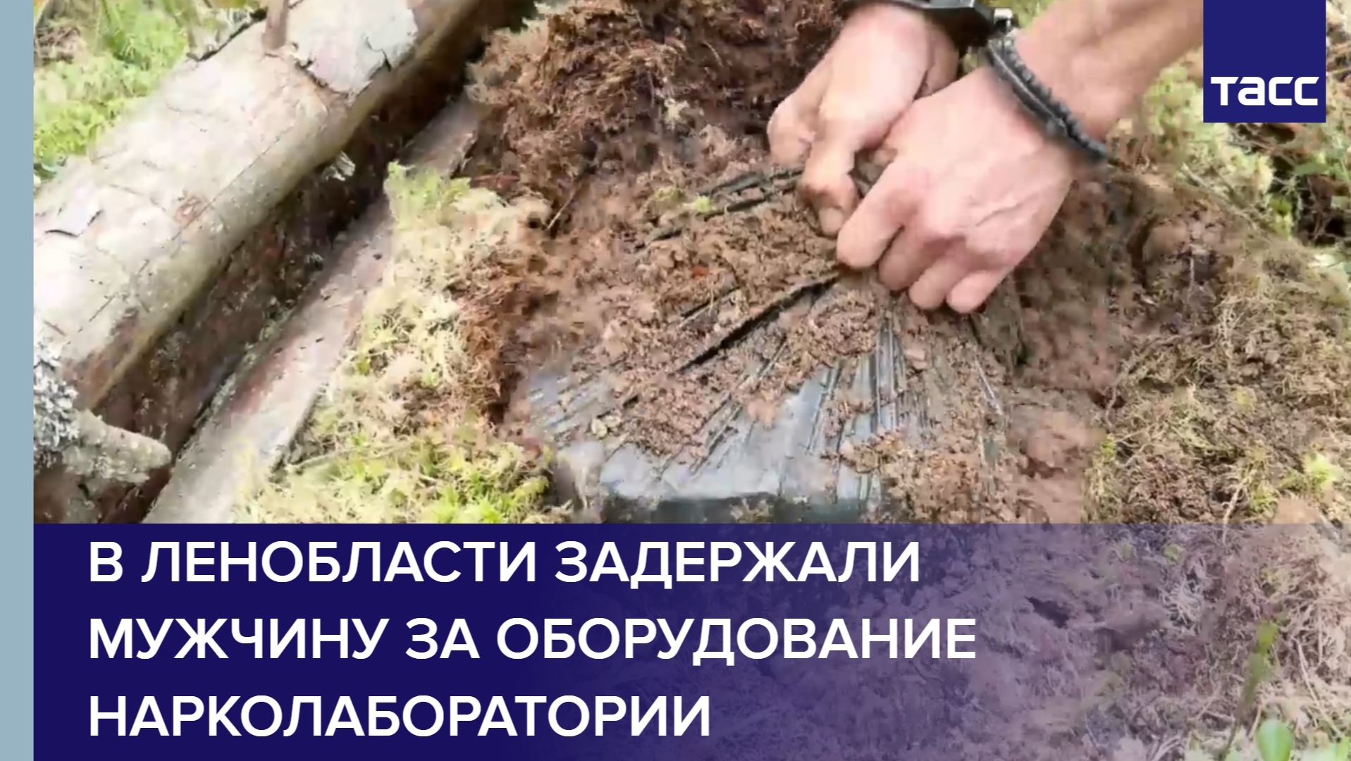 В Ленобласти задержали мужчину за оборудование нарколаборатории смотреть онлайн