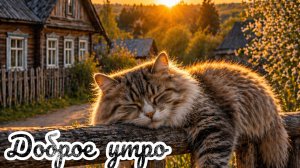 Доброе летнее утро. Красивая музыкальная открытка.