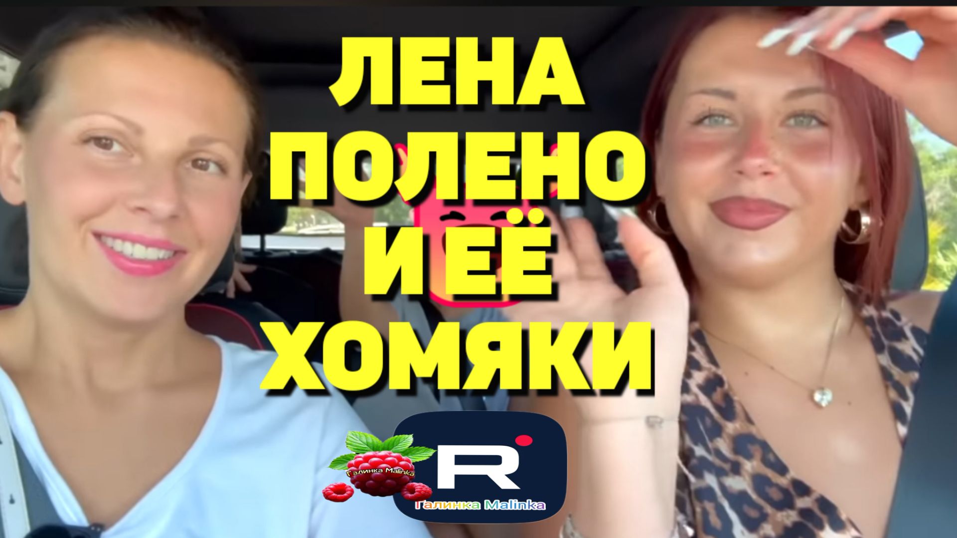 Лена Полено и ее хомяки /Big Big Family in the USA /Обзор смотреть онлайн