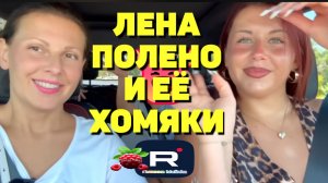 Лена Полено и ее хомяки /Big Big Family in the USA /Обзор