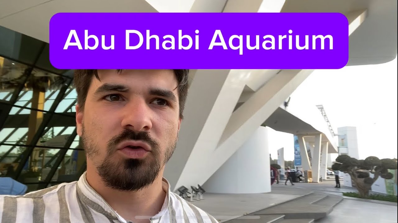 Abu Dhabi Aquarium и возвращение домой — финал поездки смотреть онлайн